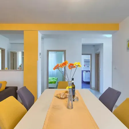 Viola ,2019 메덜린