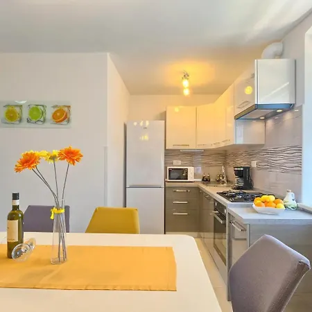 Viola ,2019 Apartman