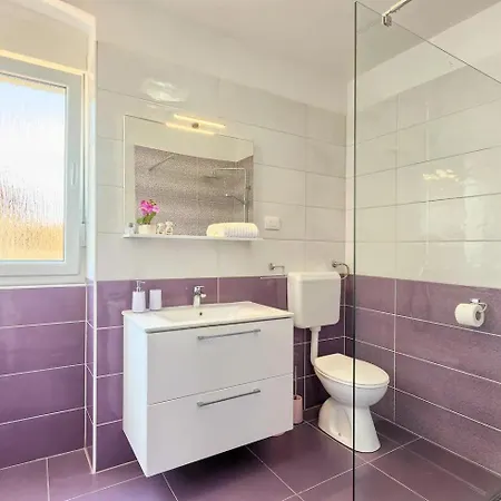Apartment Viola ,2019