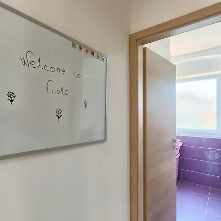 Viola ,2019 * Medulin