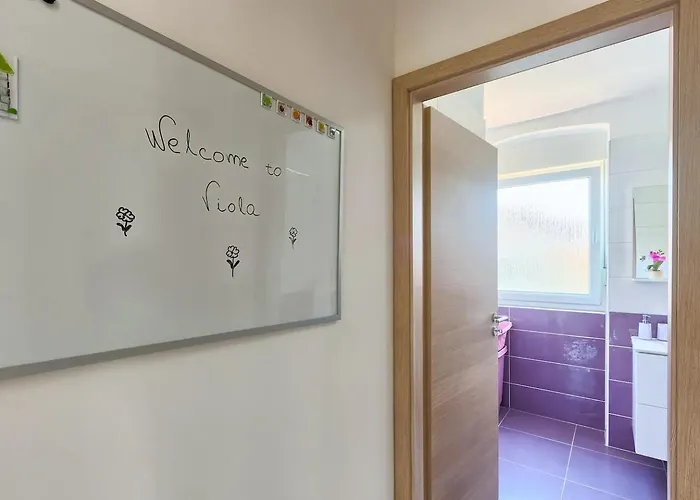 Viola ,2019 * Medulin