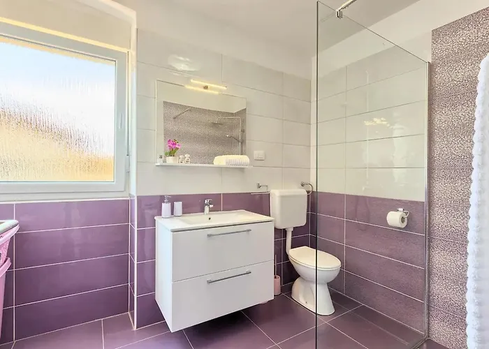 Apartman Viola ,2019